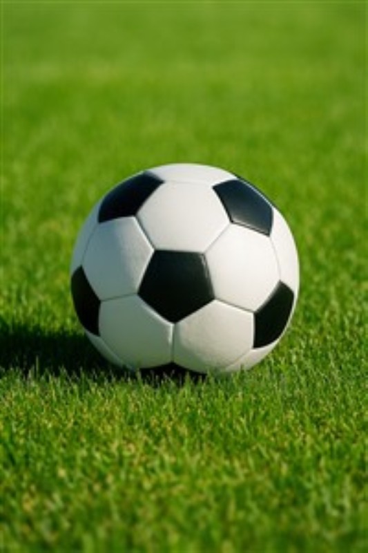 Fodboldens Glæde på Græsset - Oplev den friske energi fra fodbolden på den grønne bane! Dette nærbillede indfanger essensen af leg og sport, hvilket gør det til en perfekt tilføjelse til dit hjem eller børneværelse.