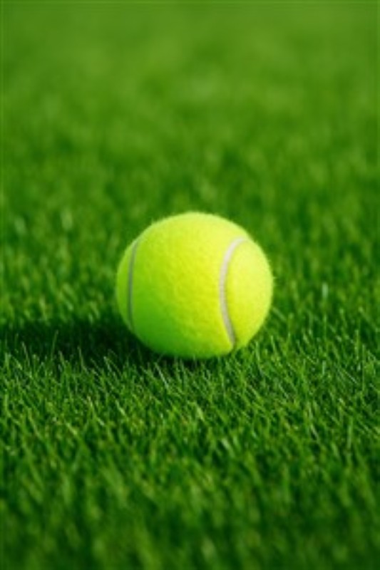 Energi og Leg med Tennisbold - Forvandl dit rum med denne livlige tennisbold, der ligger smukt på frodigt græs. Den friske grønne nuance bringer liv og energi til enhver indretning, perfekt til både sportsentusiaster og legesyge sind.
